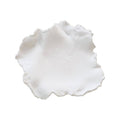 White Curled Wall Decor T887