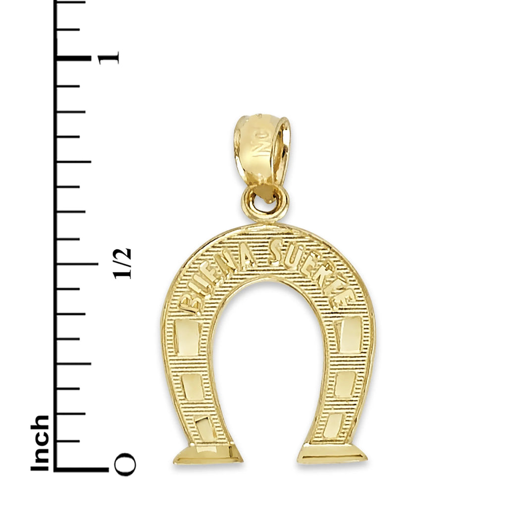 14k Solid Gold Horseshoe Pendant Necklace with 16" Rolo Chain E9117