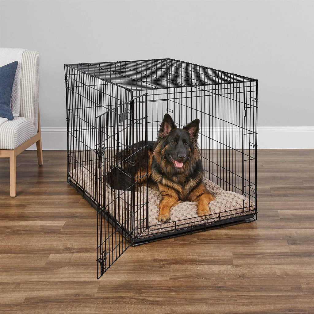 Double Door Dog Crate F2617