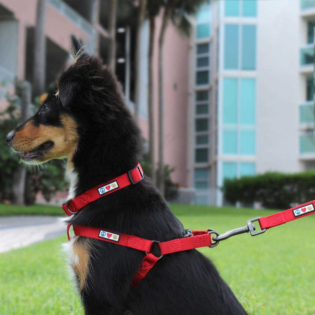 Reflective Step-in Dog Harness I543