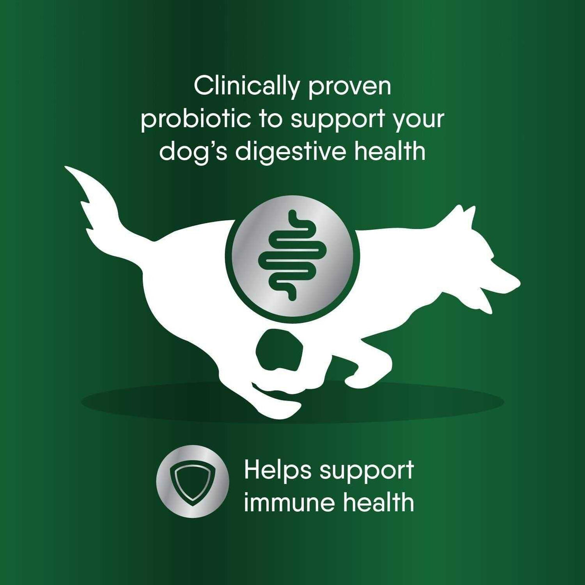 Probiotic Supplement Powder for Dogs J880785