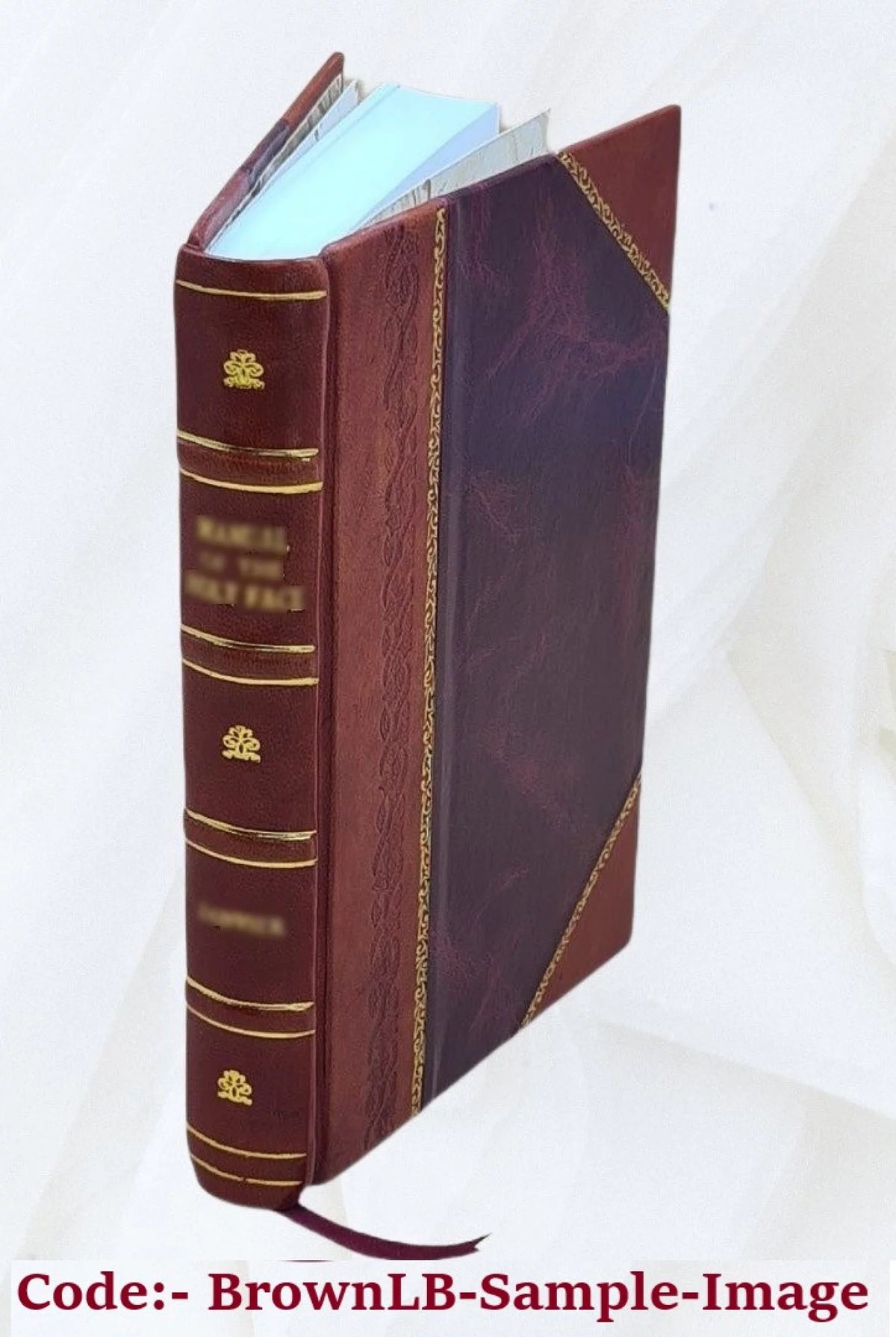 Greek Reader Leather Bound M28383