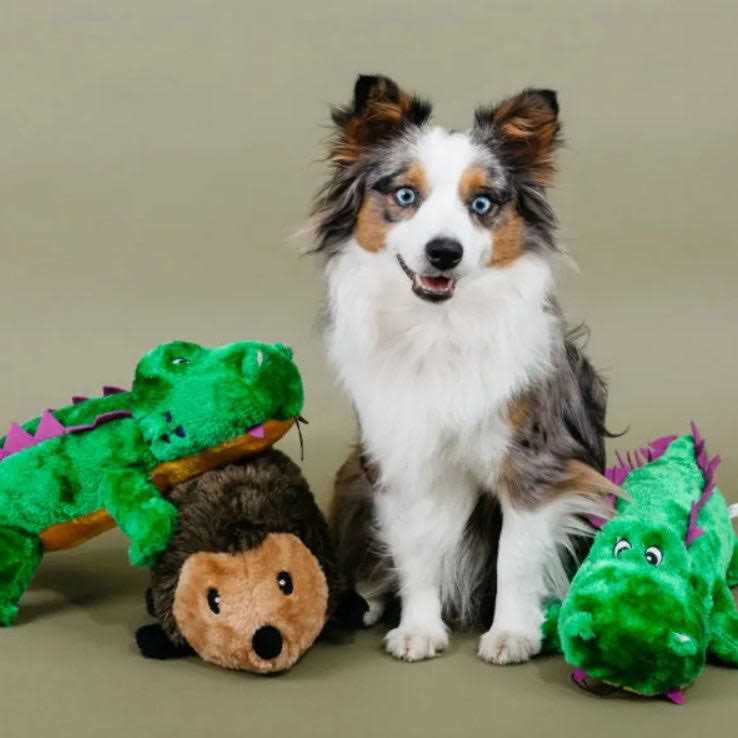Hedgehog Dog Toy K9272