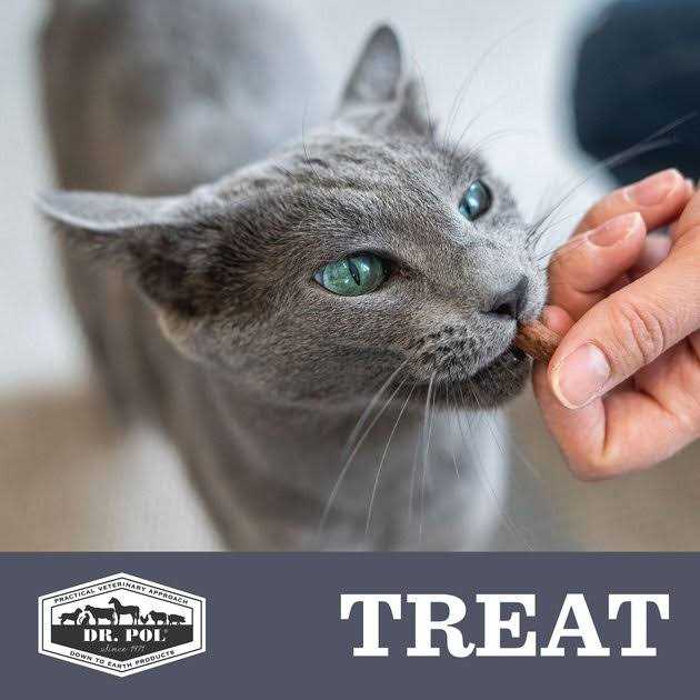Freeze Dried Cat Treat and Meal Topper K2969
