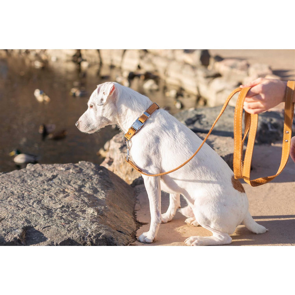 Soft Leather Collar X54142