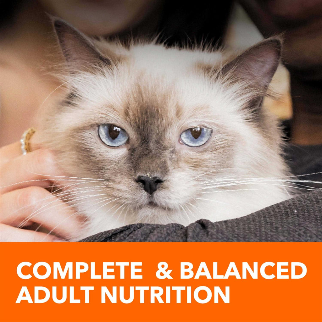 Adult Cat Food W3977