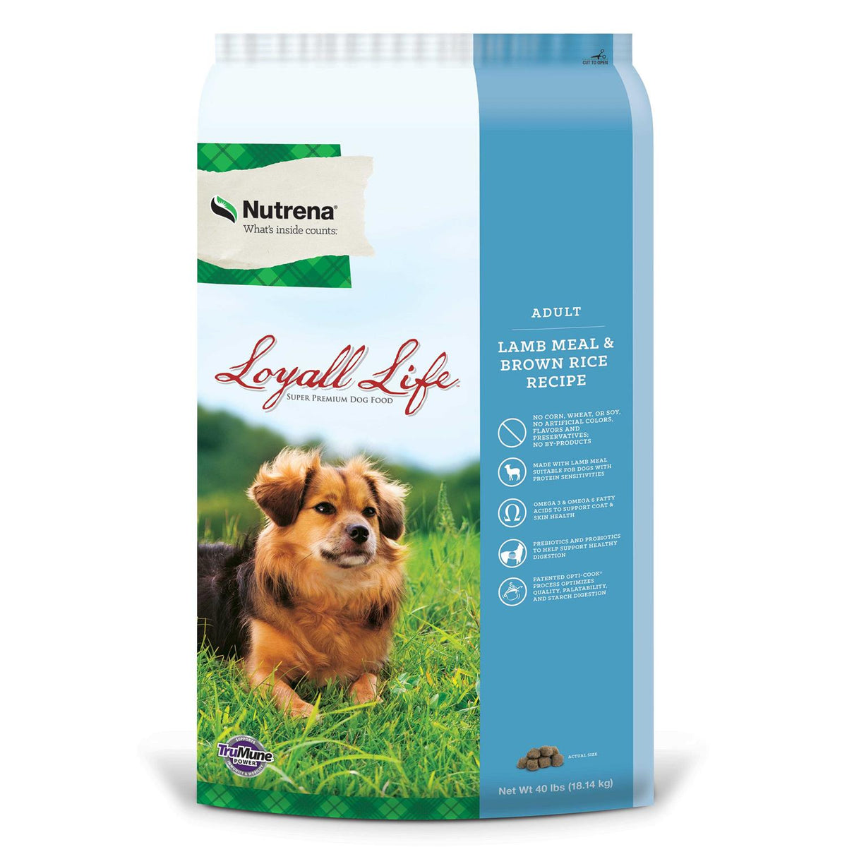 Adult Lamb & Rice Dog Food Y8086