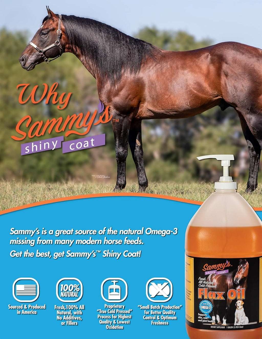 Pure Flaxseed Oil for Horses, 1 Gallon Q1772