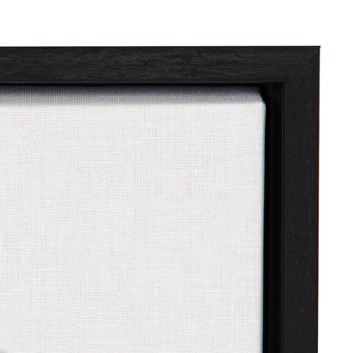 Framed Canvas F54818