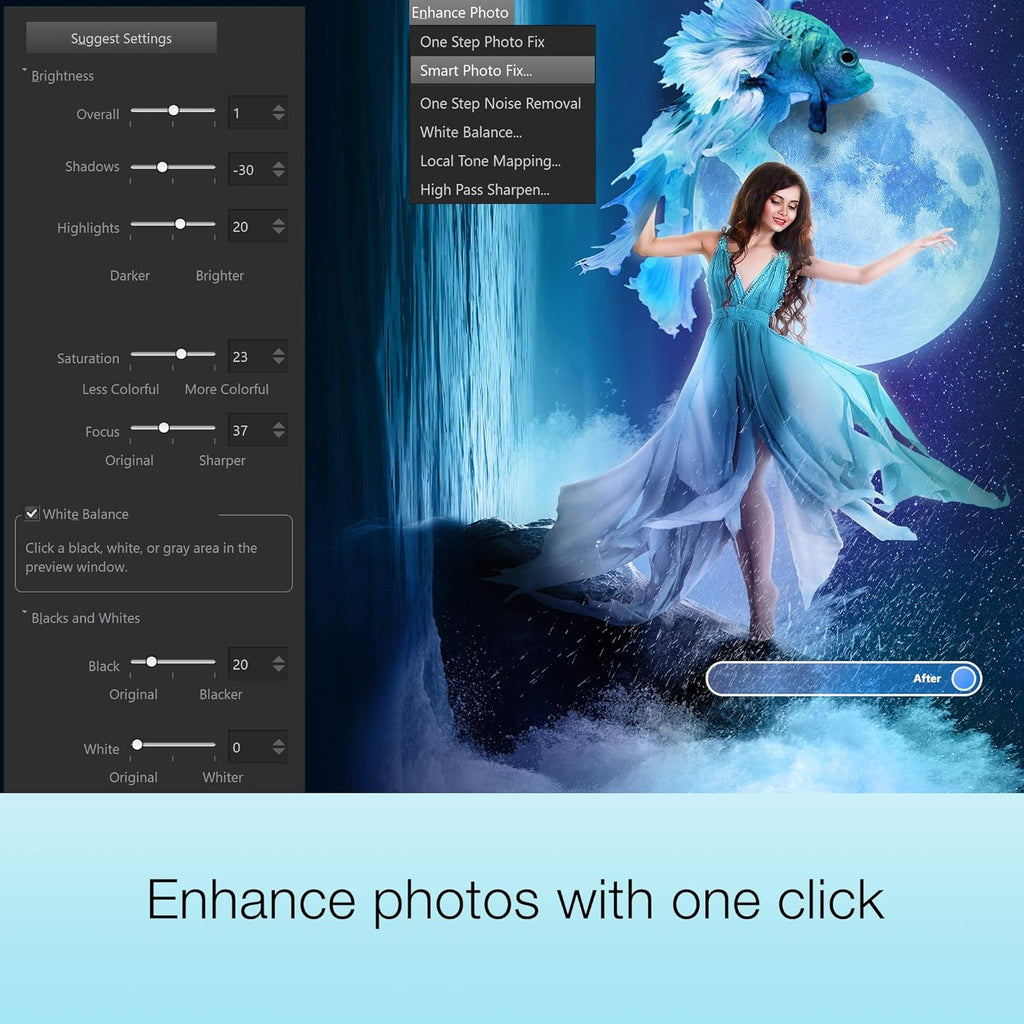 Photo and Video Editing Software H317