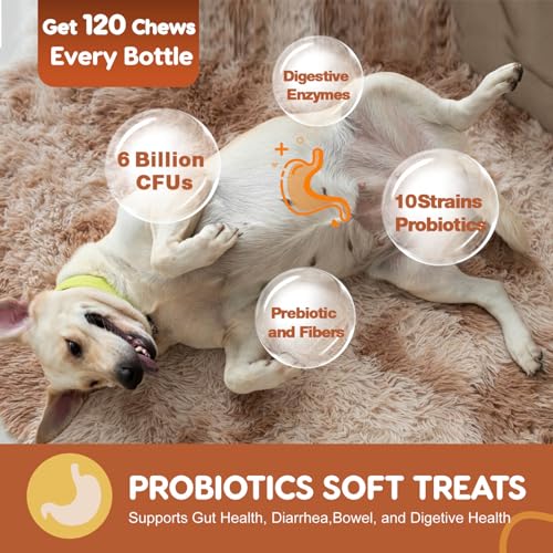 120 Soft Chews Probiotics for Dogs V2074