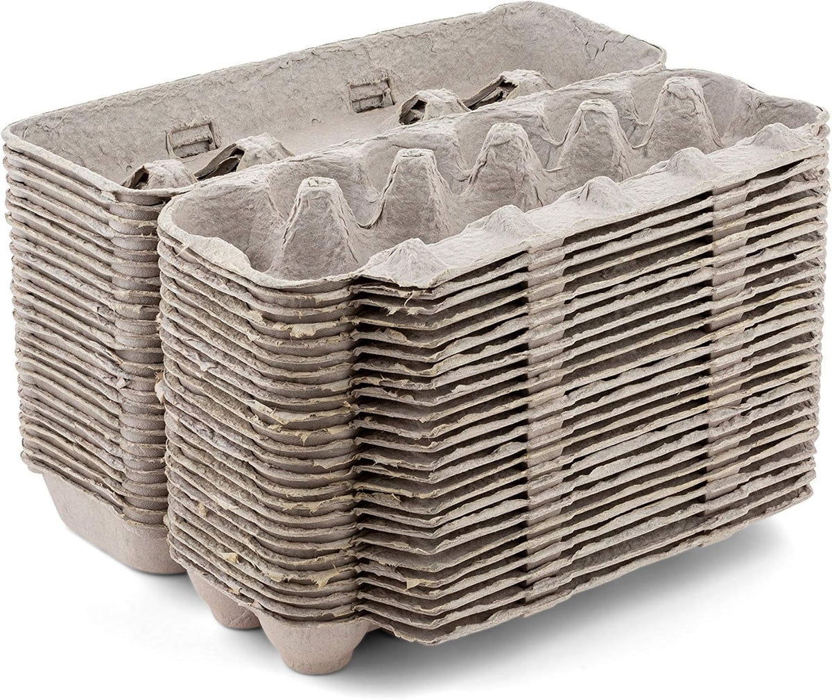 15 Pc Biodegradable Pulp Fiber Egg Cartons I103558