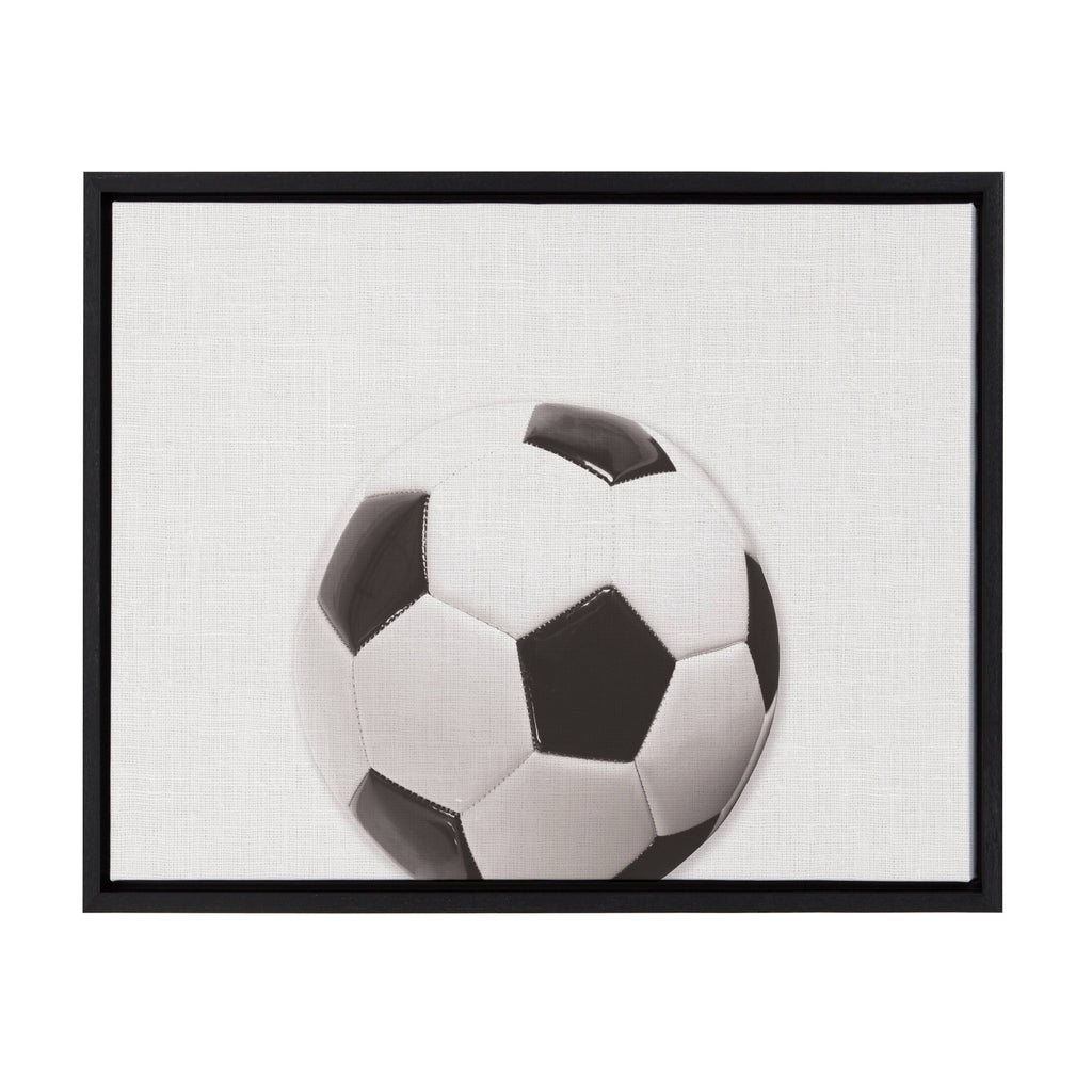 Framed Canvas F54818