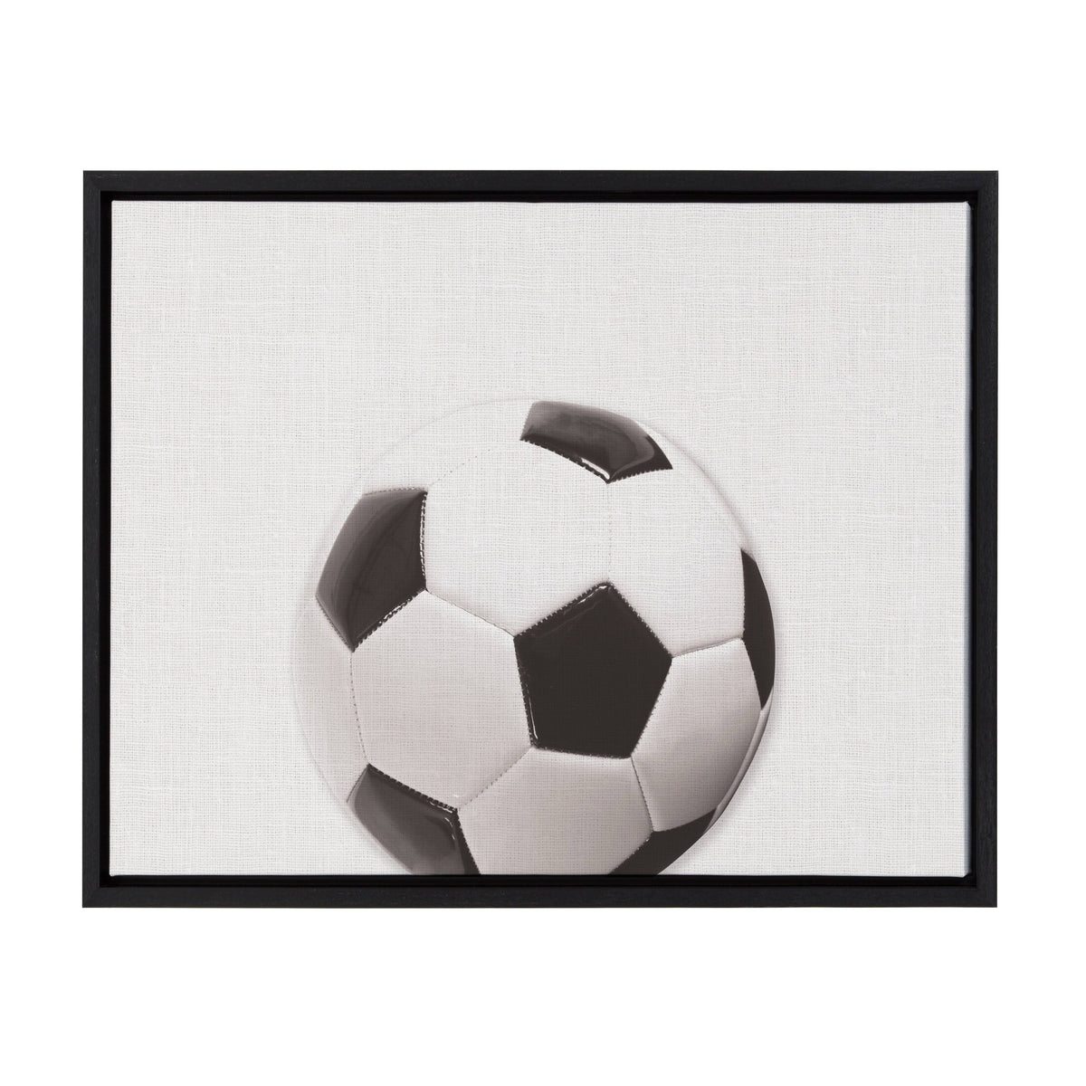 Framed Canvas F54818