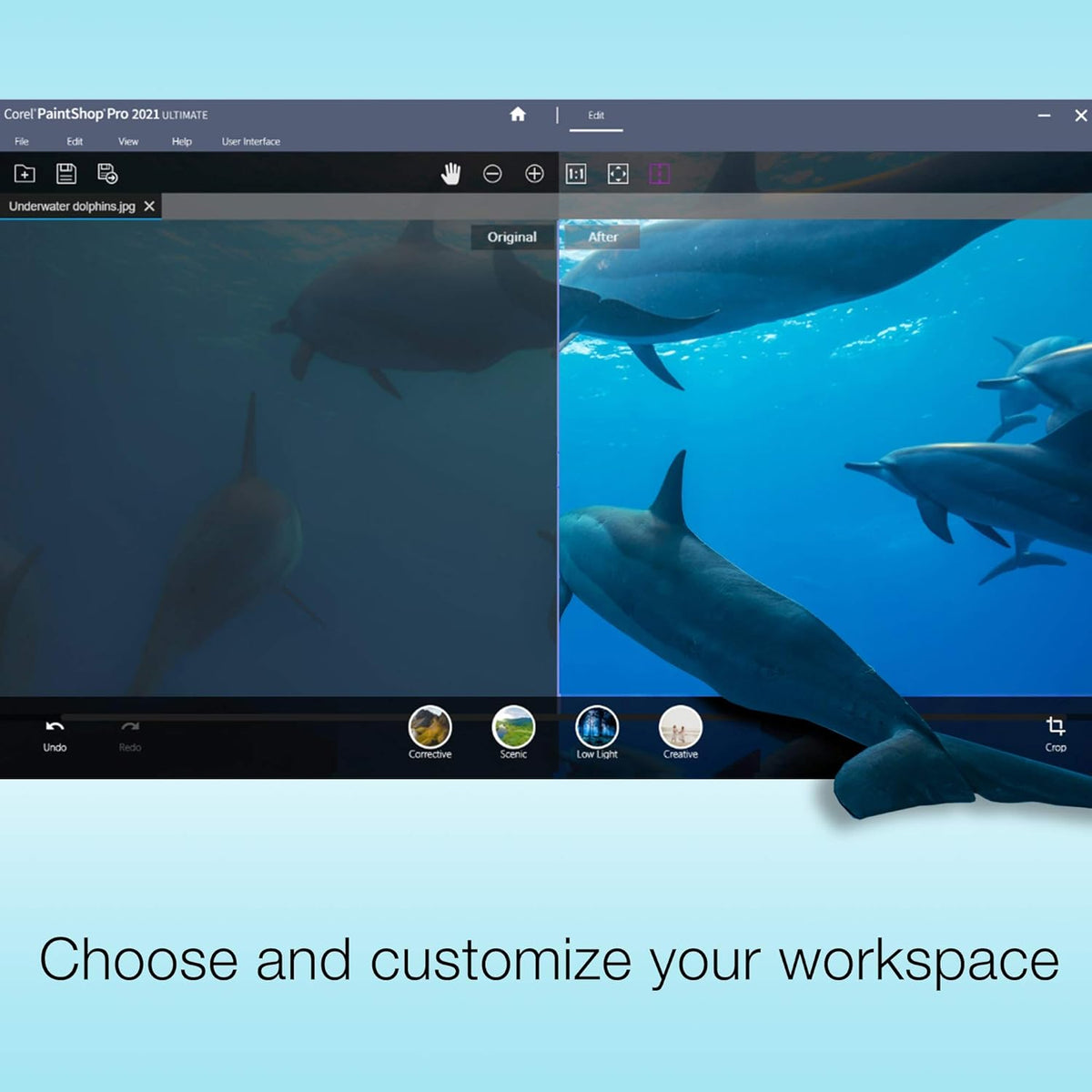 Photo and Video Editing Software H317