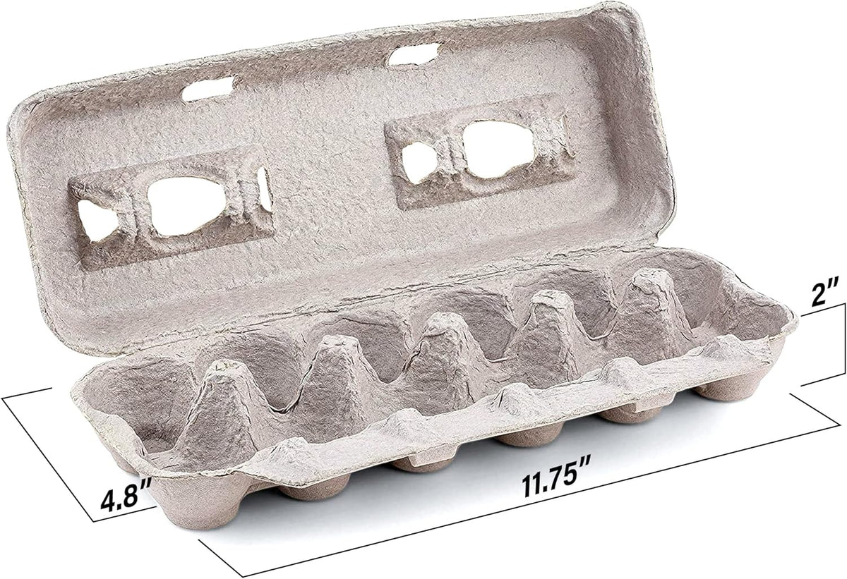15 Pc Biodegradable Pulp Fiber Egg Cartons I103558