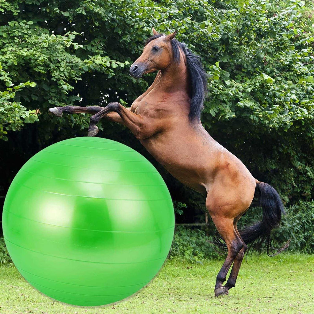 30 Inch Anti-Burst Mega Herding Ball with Pump C34809