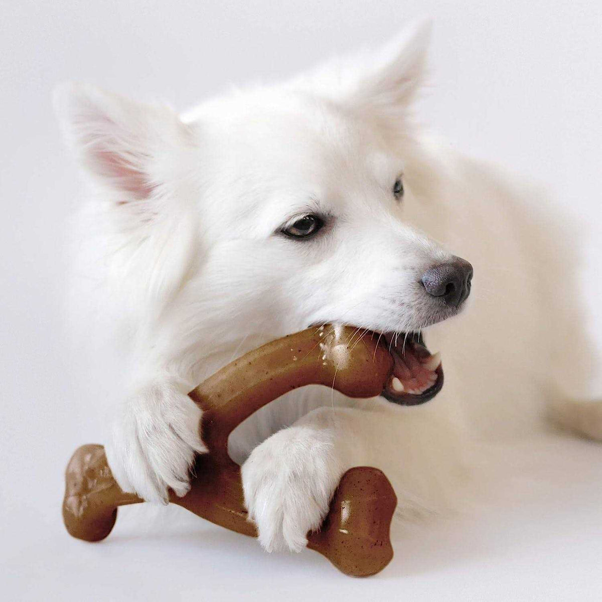 Wishbone Dog Chew O81876