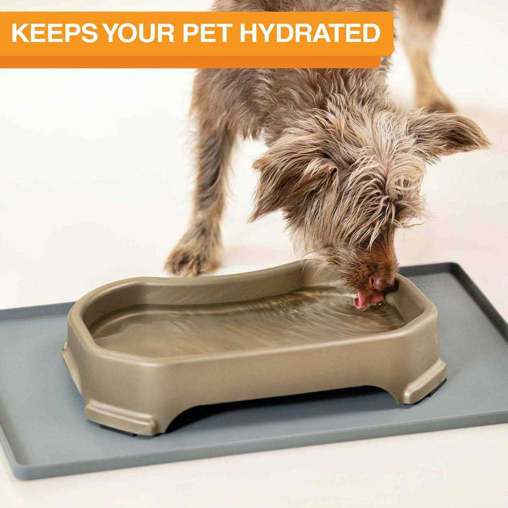 Extra Large Water Bowl for Dogs G6697