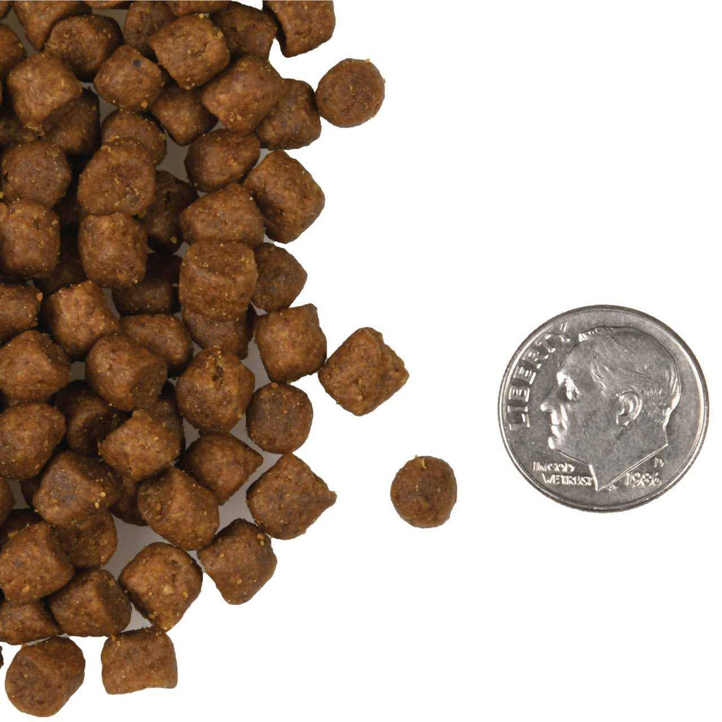 Surf Turf Cat Food T240265