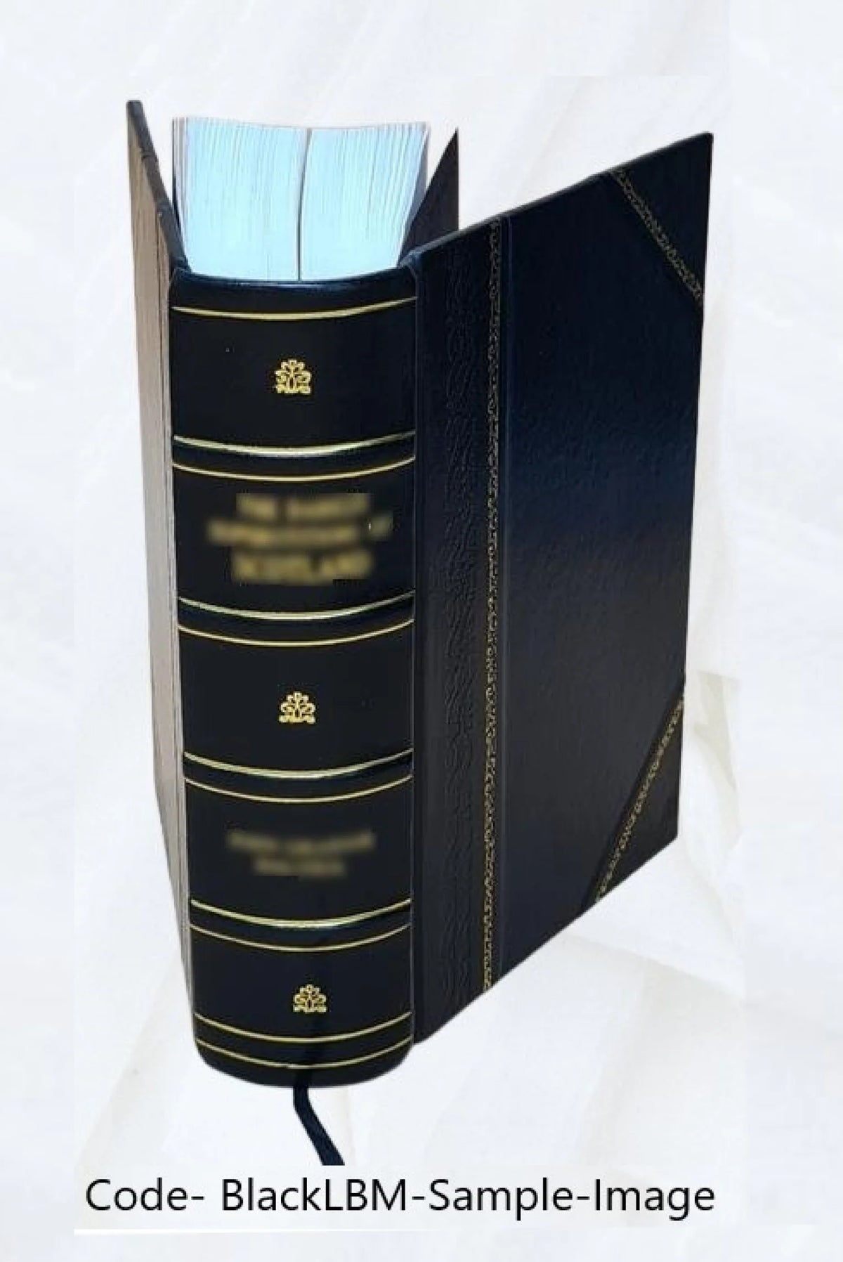 Leather Bound Book Y491