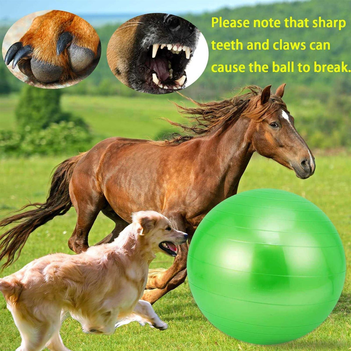 30 Inch Anti-Burst Mega Herding Ball with Pump C34809