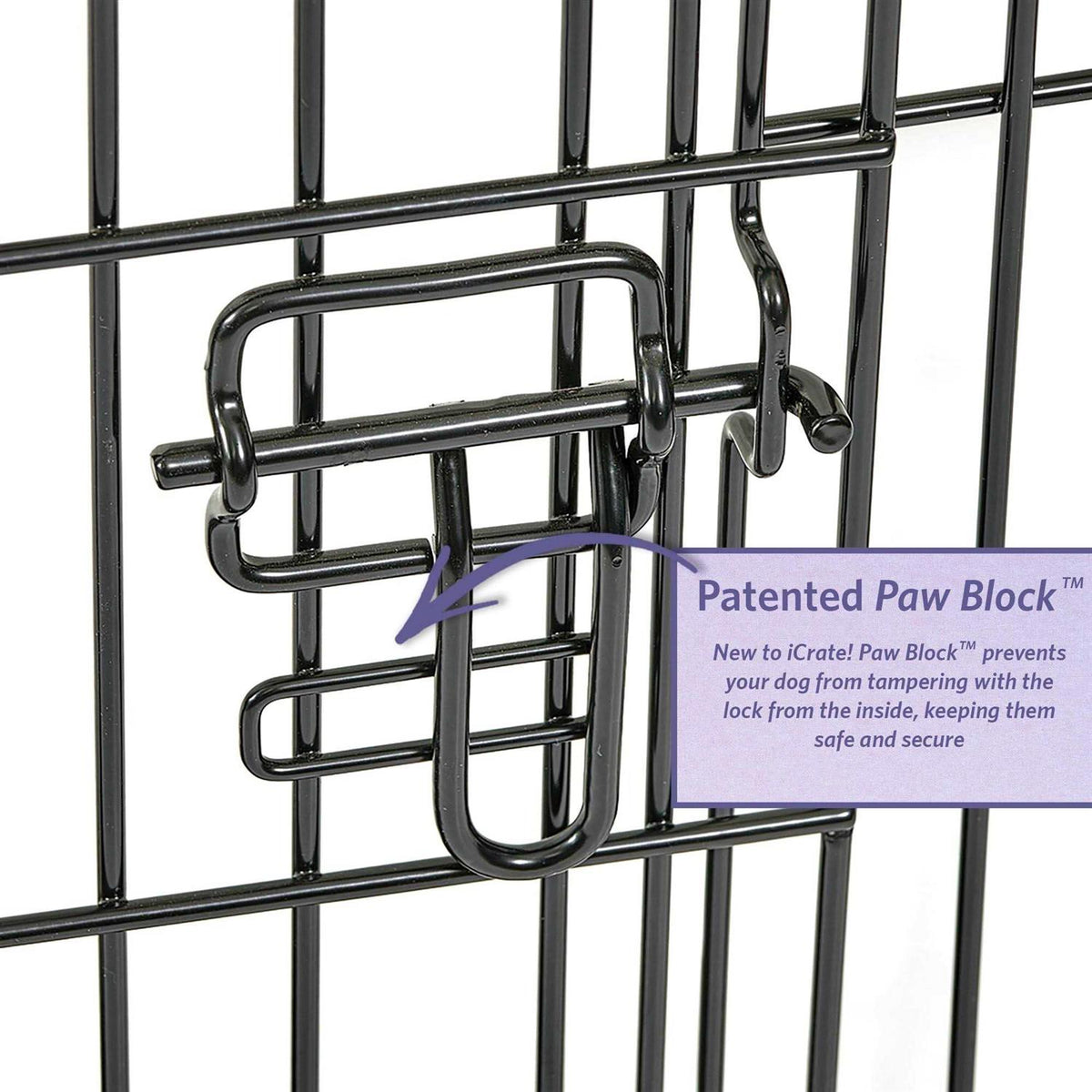Double Door Dog Crate F2617