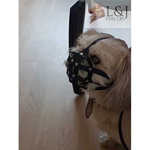 Leather Dog Muzzle X835
