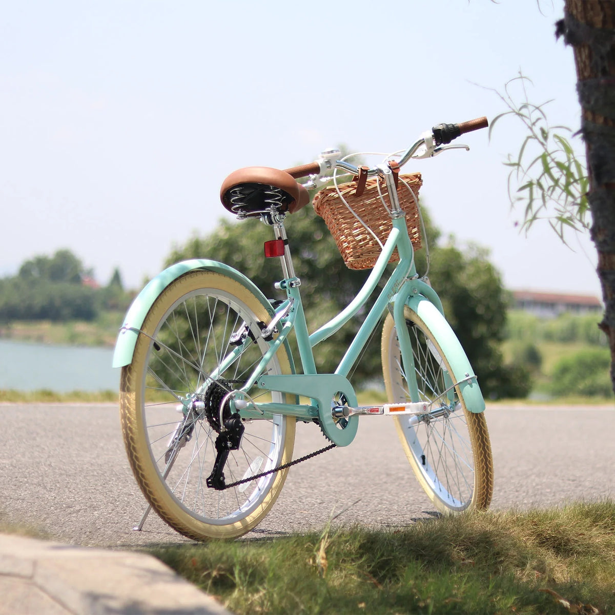 24 Girls Cruiser Bike 6-Speed Purple B7688