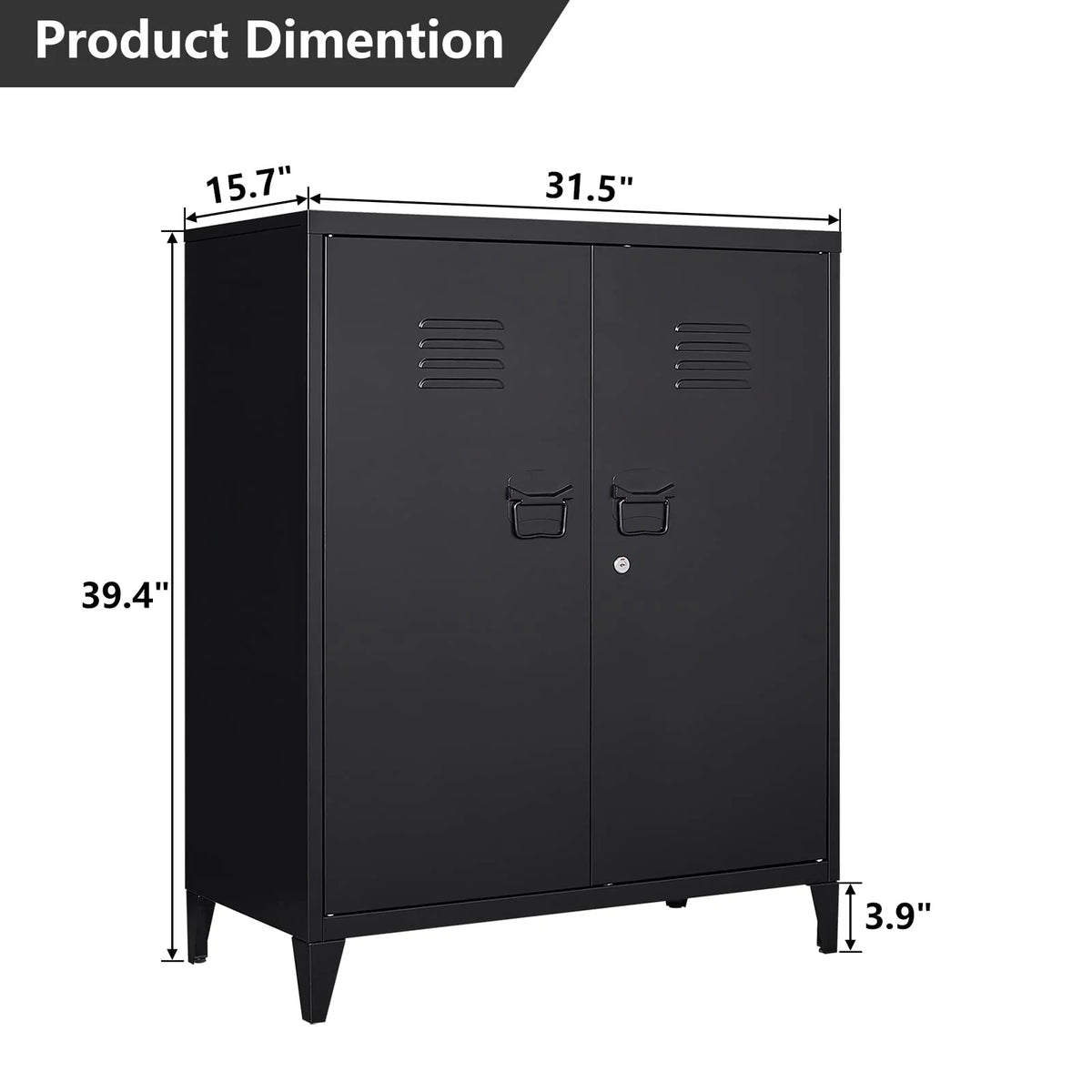 2 Door Metal Accent Cabinet with 2 Shelves, Black N95361