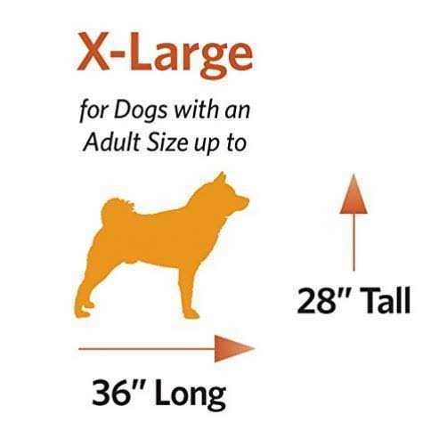 Double Door Dog Crate F2617