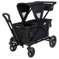 2 in 1 Stroller Wagon P276