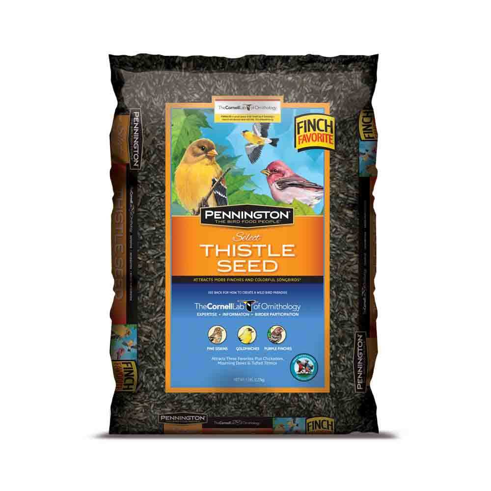 Thistle Seed T9031