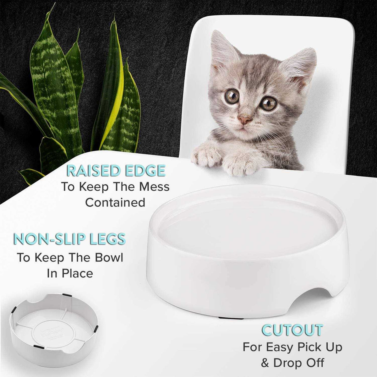 Non Slip Raised Cat Food Bowl Stand W448