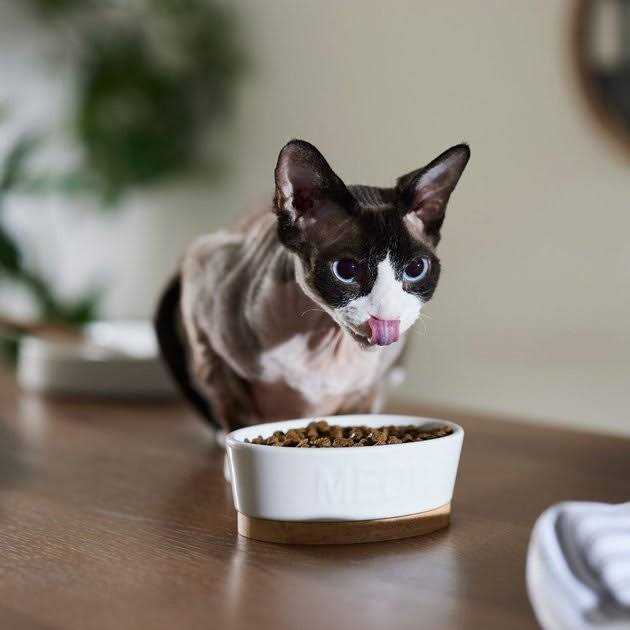 Chicken & Pomegranate Dry Cat Food M119