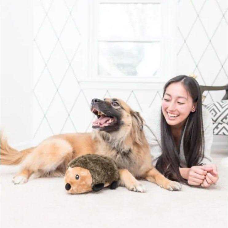 Hedgehog Dog Toy K9272