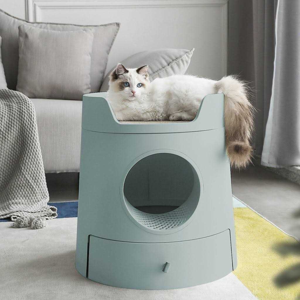 XL 2-in-1 Cat Litter Box with Scratch Basin Y934