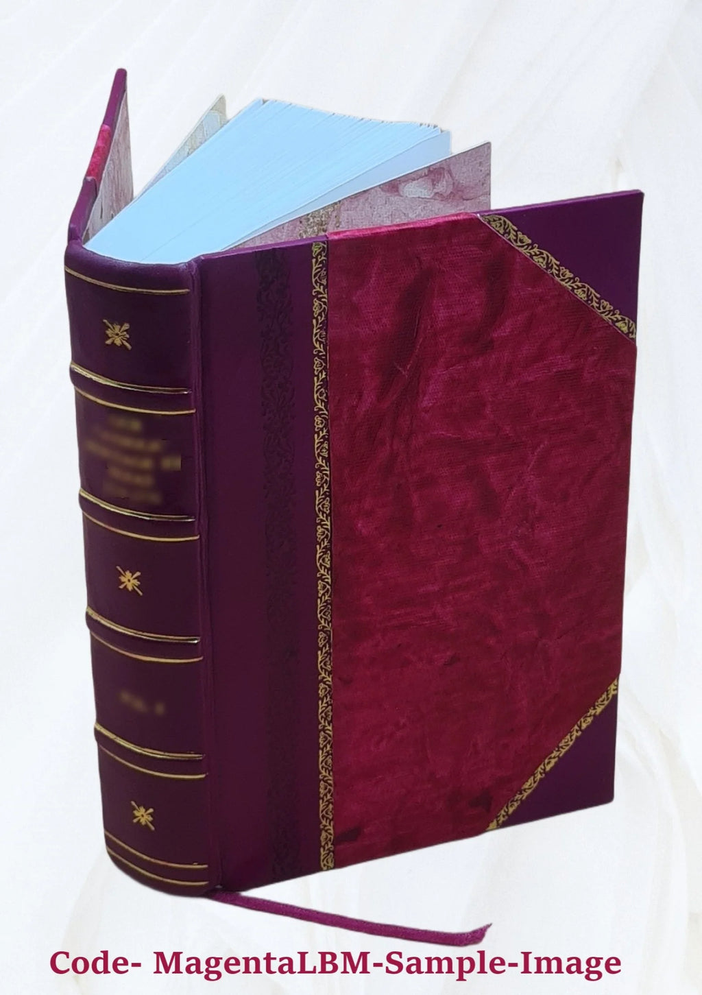 Leather Bound Book Y491