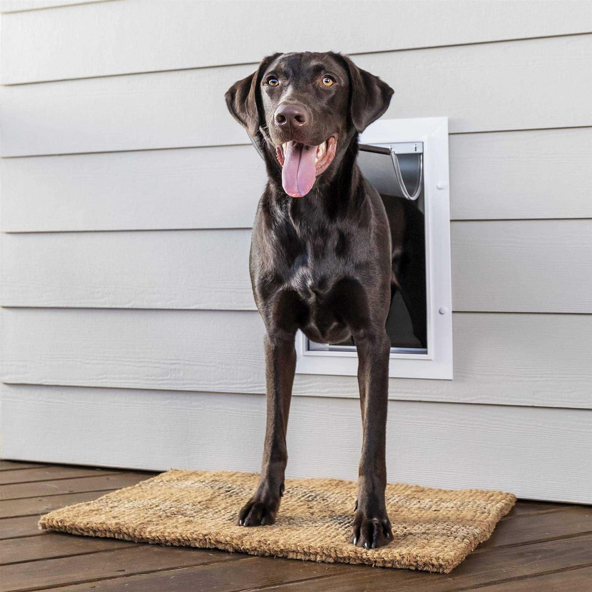 Aluminum Pet Door F163891