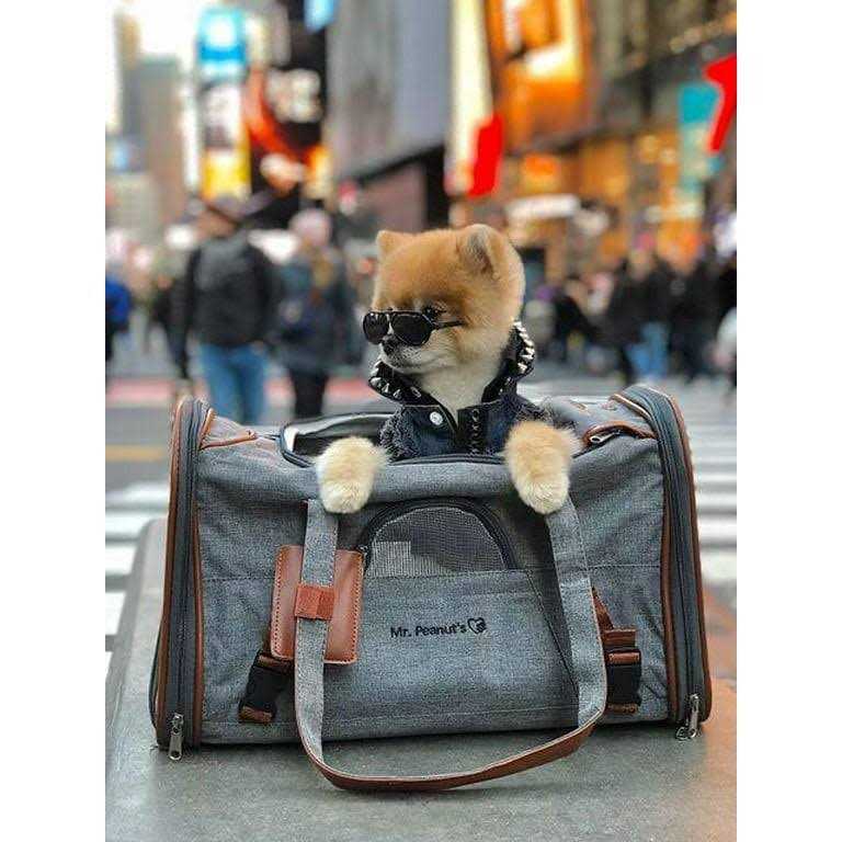Expandable Airline Approved Pet Carrier N930042
