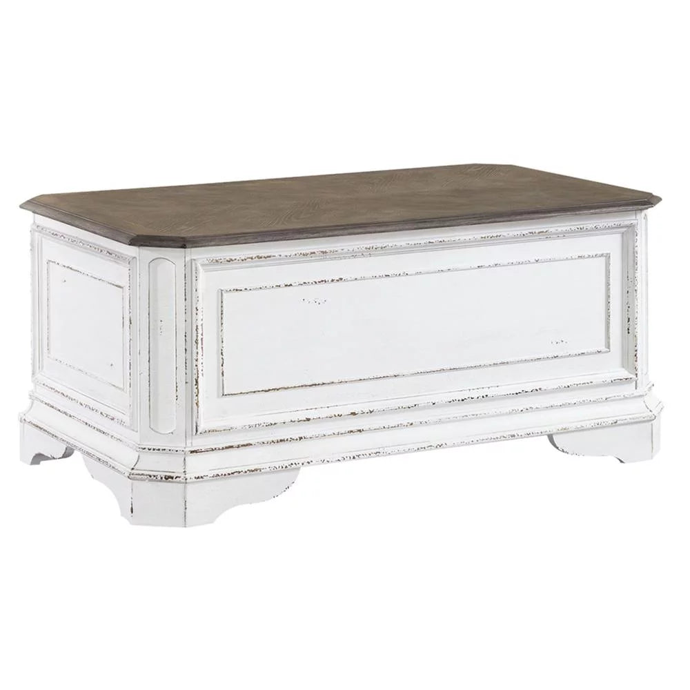 Storage Trunk P2489