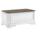 Storage Trunk P2489